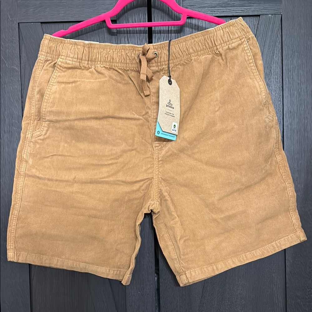 Prana Canyon Camp Shorts